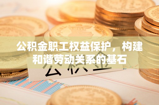 洛扎公积金职工权益保护，构建和谐劳动关系的基石