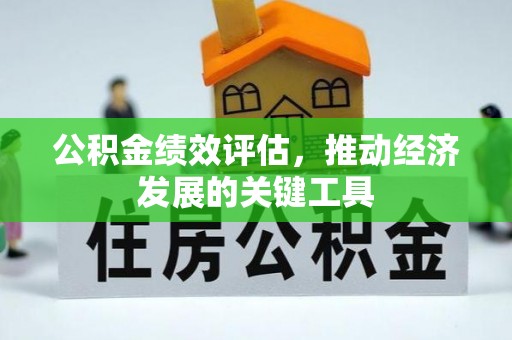 洛扎公积金绩效评估，推动经济发展的关键工具