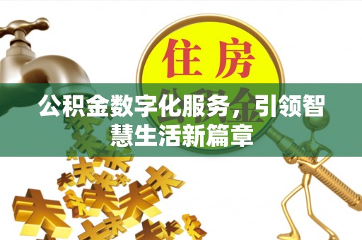 洛扎公积金数字化服务，引领智慧生活新篇章