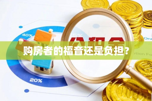 洛扎购房者的福音还是负担？