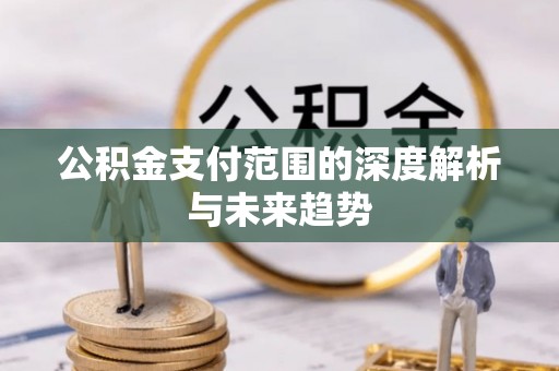 洛扎公积金支付范围的深度解析与未来趋势