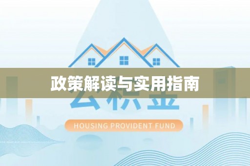 洛扎政策解读与实用指南