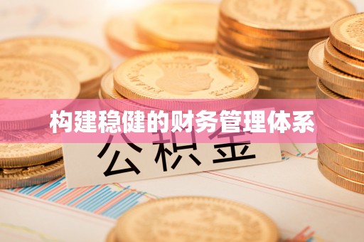洛扎构建稳健的财务管理体系
