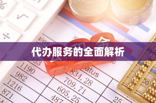 洛扎代办服务的全面解析