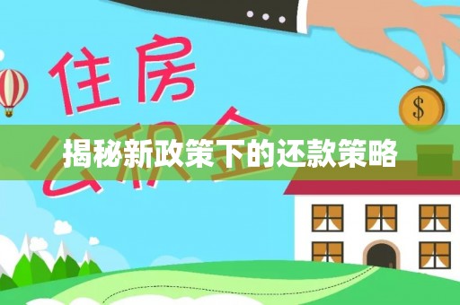 洛扎揭秘新政策下的还款策略