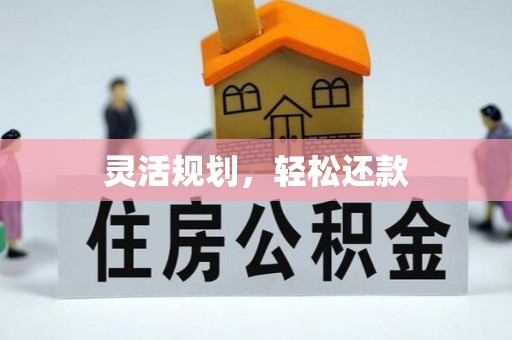 洛扎灵活规划，轻松还款