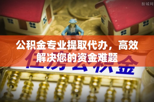 洛扎公积金专业提取代办，高效解决您的资金难题