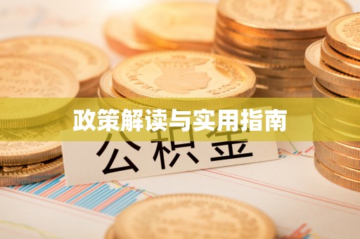 洛扎政策解读与实用指南