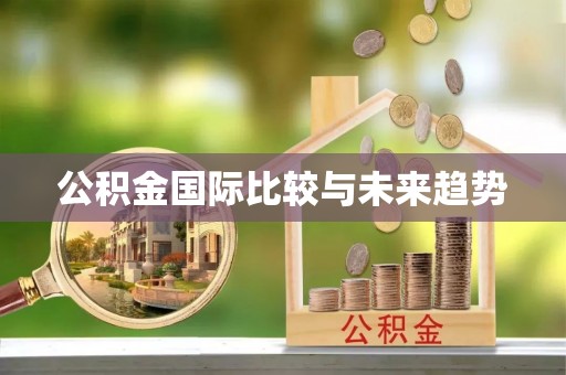 洛扎公积金国际比较与未来趋势