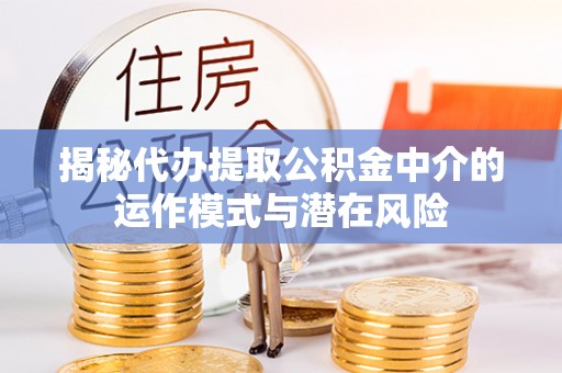 洛扎揭秘代办提取公积金中介的运作模式与潜在风险