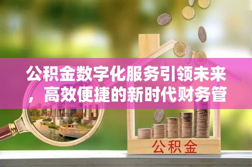 洛扎公积金数字化服务引领未来，高效便捷的新时代财务管理