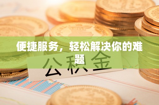 洛扎便捷服务，轻松解决你的难题