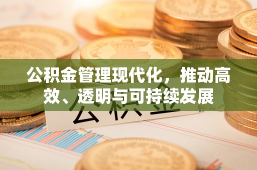 洛扎公积金管理现代化，推动高效、透明与可持续发展