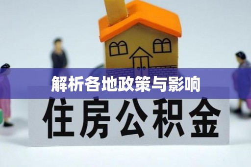 洛扎解析各地政策与影响