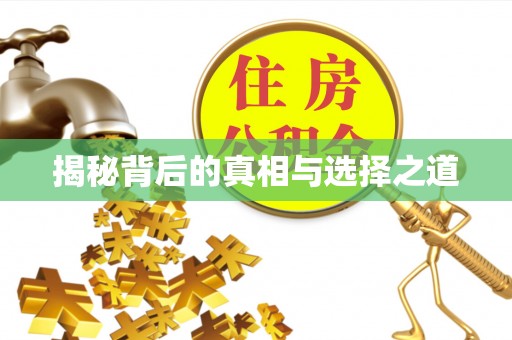 洛扎揭秘背后的真相与选择之道