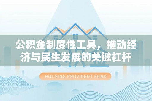 洛扎公积金制度性工具，推动经济与民生发展的关键杠杆