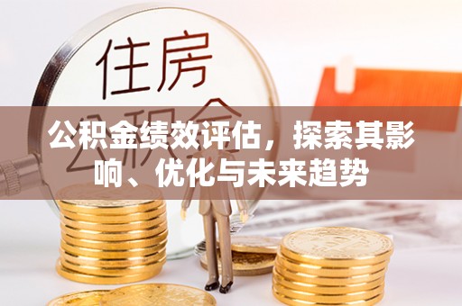 洛扎公积金绩效评估，探索其影响、优化与未来趋势
