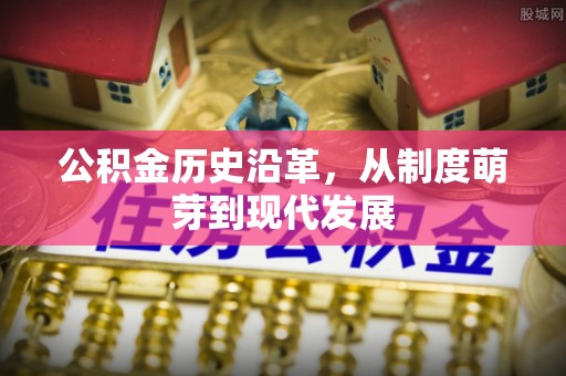 洛扎公积金历史沿革，从制度萌芽到现代发展
