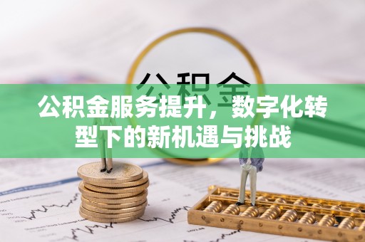 洛扎公积金服务提升，数字化转型下的新机遇与挑战