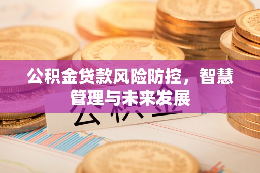 洛扎公积金贷款风险防控，智慧管理与未来发展