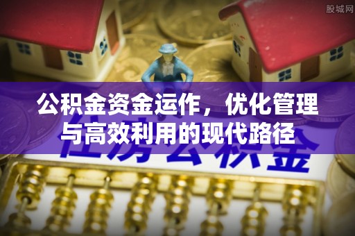 洛扎公积金资金运作，优化管理与高效利用的现代路径