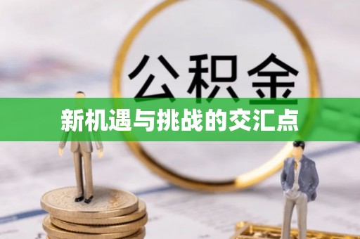 洛扎新机遇与挑战的交汇点