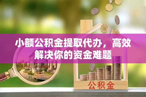 洛扎小额公积金提取代办，高效解决你的资金难题