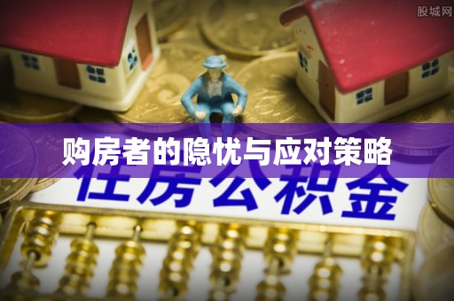 洛扎购房者的隐忧与应对策略
