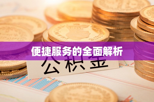 洛扎便捷服务的全面解析