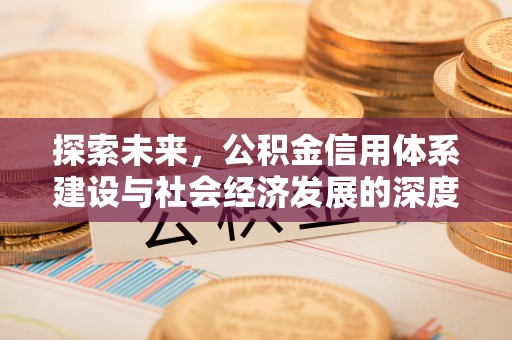 洛扎探索未来，公积金信用体系建设与社会经济发展的深度融合