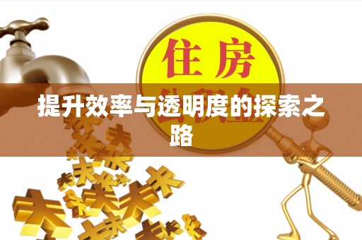 洛扎提升效率与透明度的探索之路
