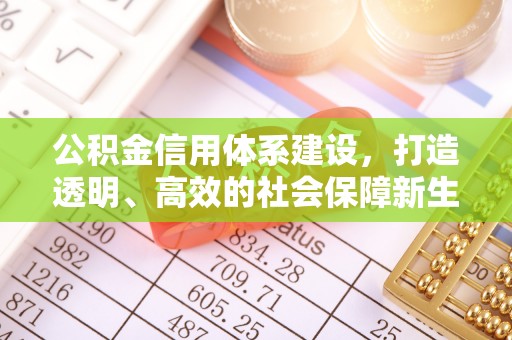 洛扎公积金信用体系建设，打造透明、高效的社会保障新生态
