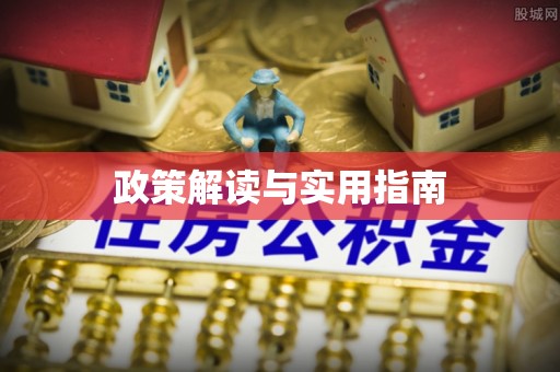 洛扎政策解读与实用指南