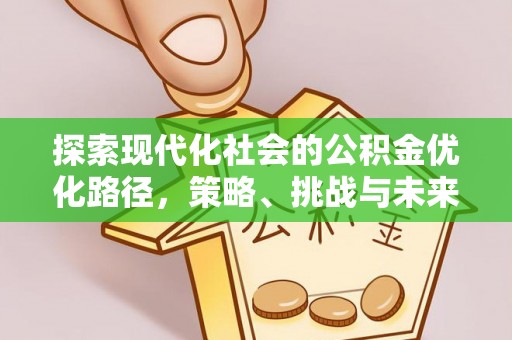 洛扎探索现代化社会的公积金优化路径，策略、挑战与未来展望
