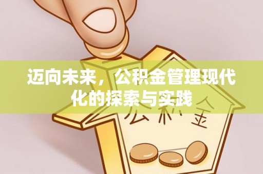 洛扎迈向未来，公积金管理现代化的探索与实践