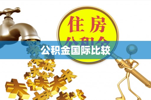 洛扎公积金国际比较