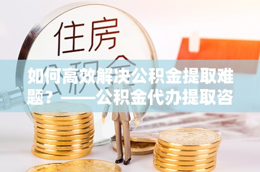 洛扎如何高效解决公积金提取难题？——公积金代办提取咨询服务全解析