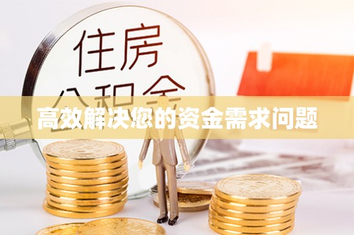 洛扎高效解决您的资金需求问题