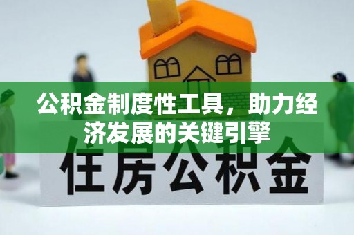洛扎公积金制度性工具，助力经济发展的关键引擎