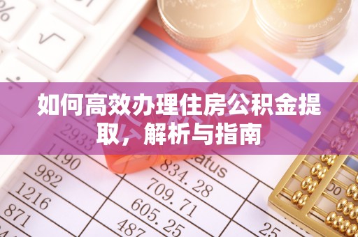 洛扎如何高效办理住房公积金提取，解析与指南