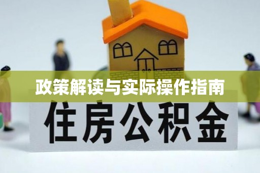 洛扎政策解读与实际操作指南