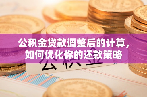 洛扎公积金贷款调整后的计算，如何优化你的还款策略
