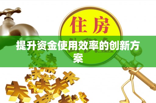 洛扎提升资金使用效率的创新方案