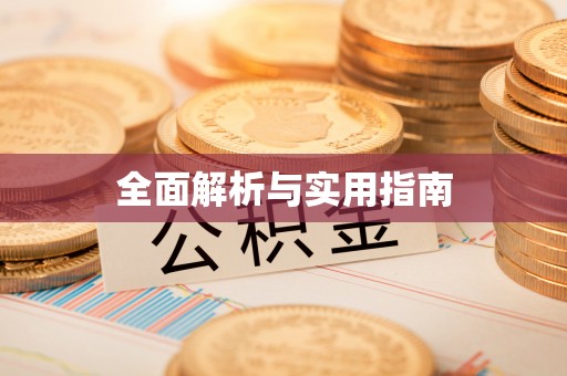 洛扎全面解析与实用指南