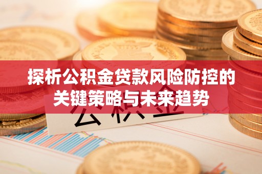洛扎探析公积金贷款风险防控的关键策略与未来趋势