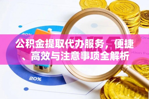洛扎公积金提取代办服务，便捷、高效与注意事项全解析