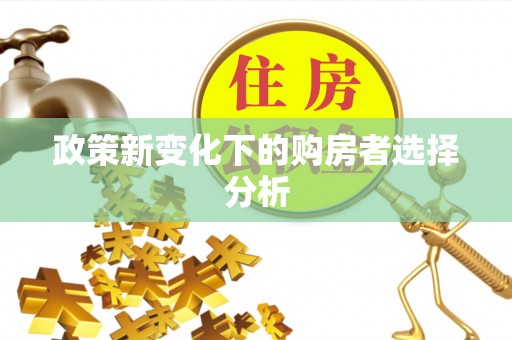 洛扎政策新变化下的购房者选择分析