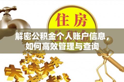 洛扎解密公积金个人账户信息，如何高效管理与查询