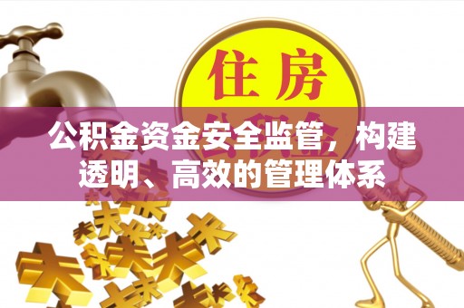 洛扎公积金资金安全监管，构建透明、高效的管理体系