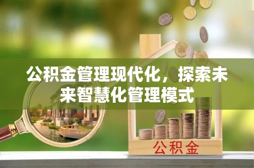 洛扎公积金管理现代化，探索未来智慧化管理模式